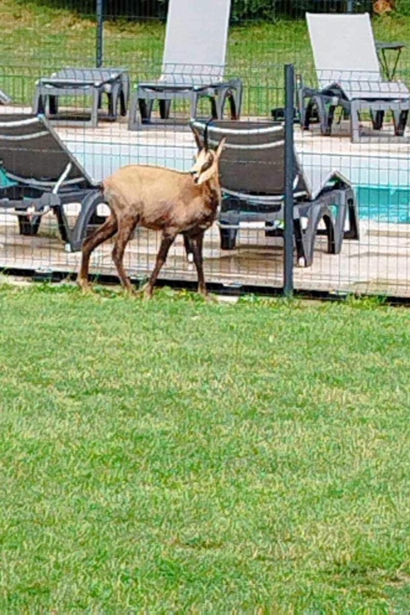 La ChatelaineGite 2 Pieces Parc Des Chamois Piscine Chauffeeアパートメント エクステリア 写真